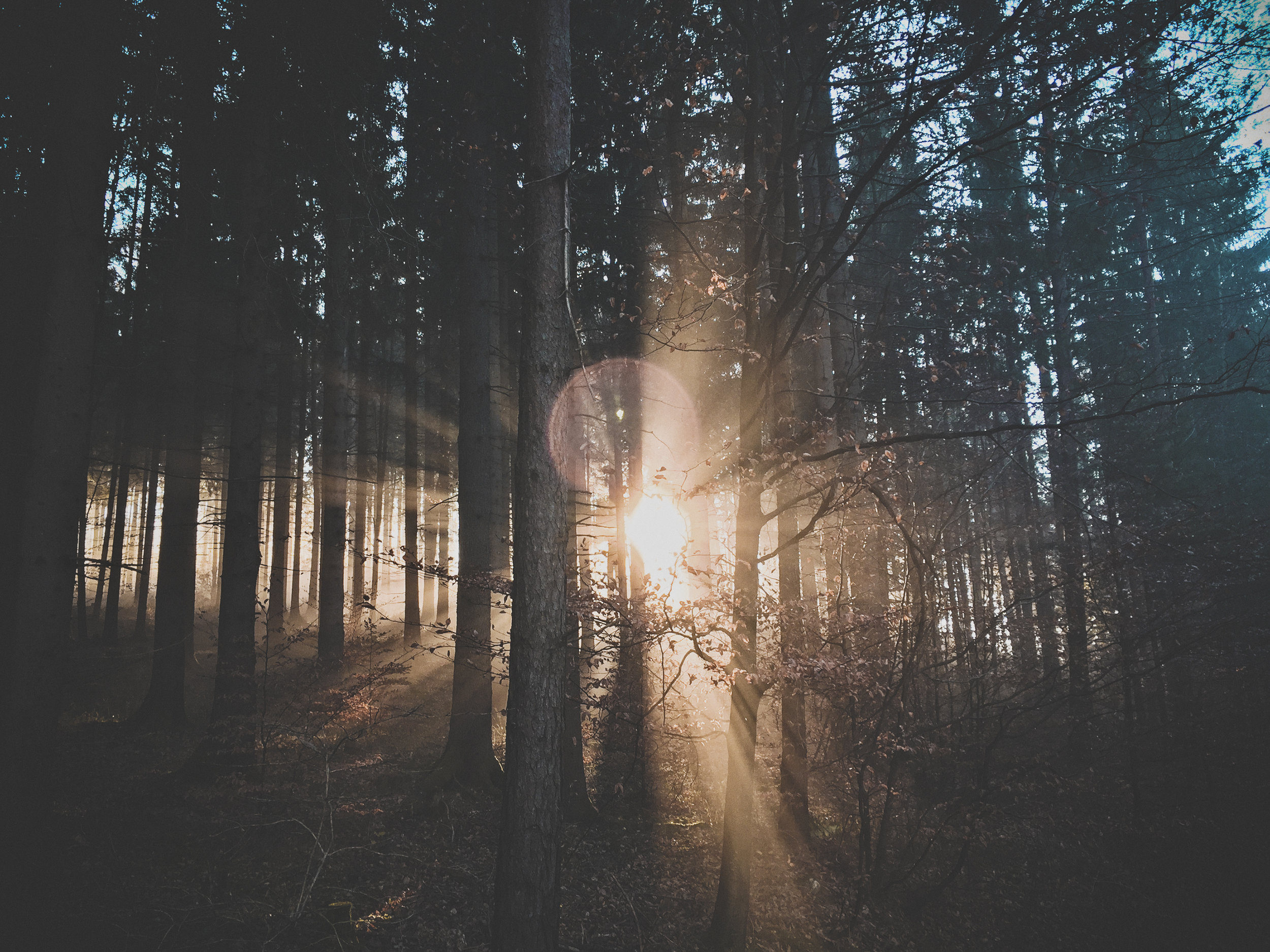 Ammennamme inspiraatiomme hämäläisestä luonnosta ja Päijänteen järvi-maisemasta ja nimeämme jokaisen uuden ovimallimme Päijänteestä, järvestä, vedestä ja luonnosta lähtien.