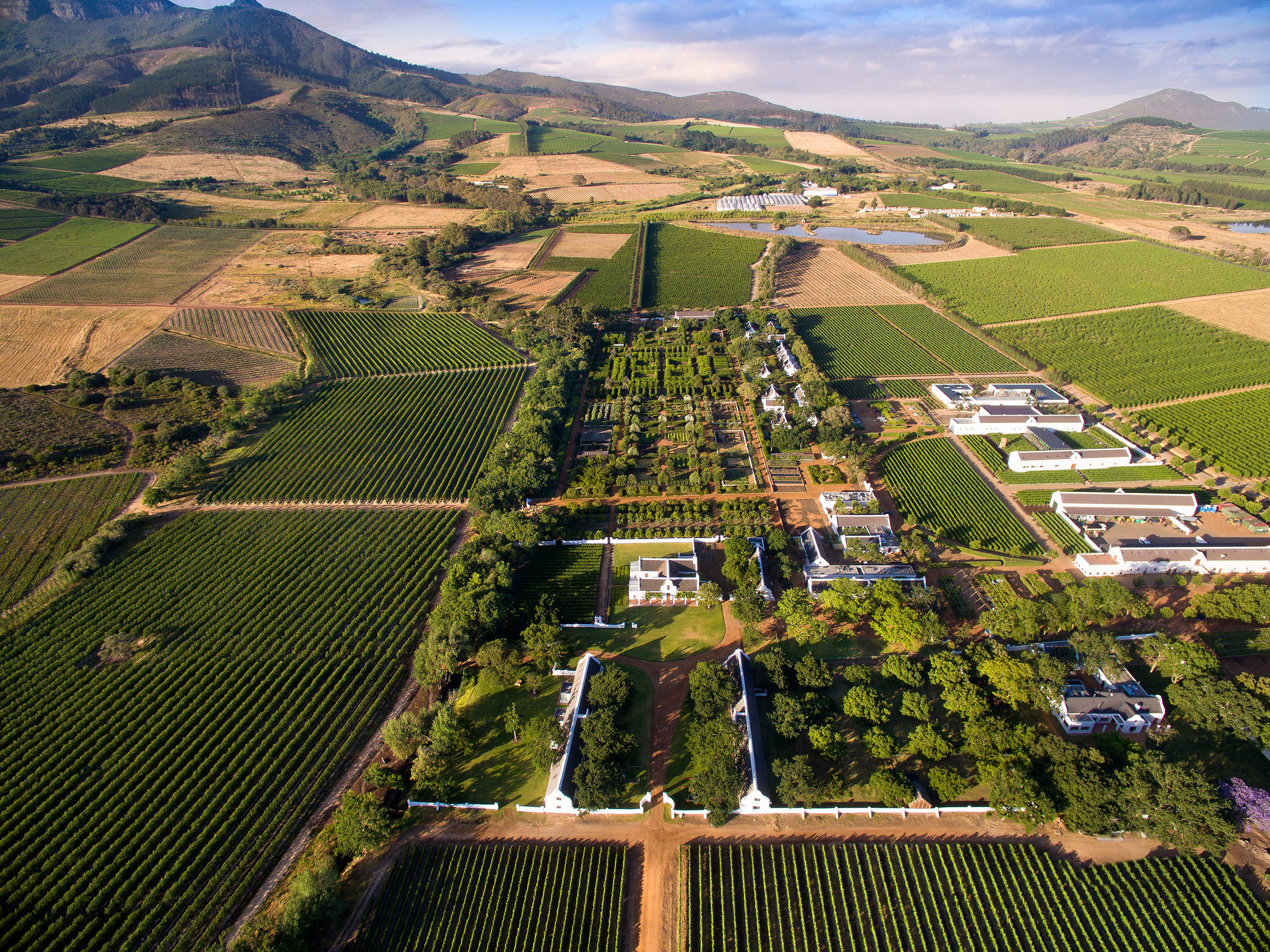3.Drone-view-of-Babylonstoren-garden,-cellars-to-the-right.jpg