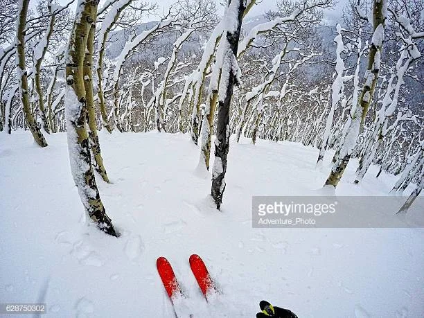 Vermont’s backcountry skiers plan for the future