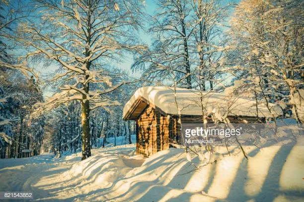 Cabin fever hits Vermont Backcountry Forum