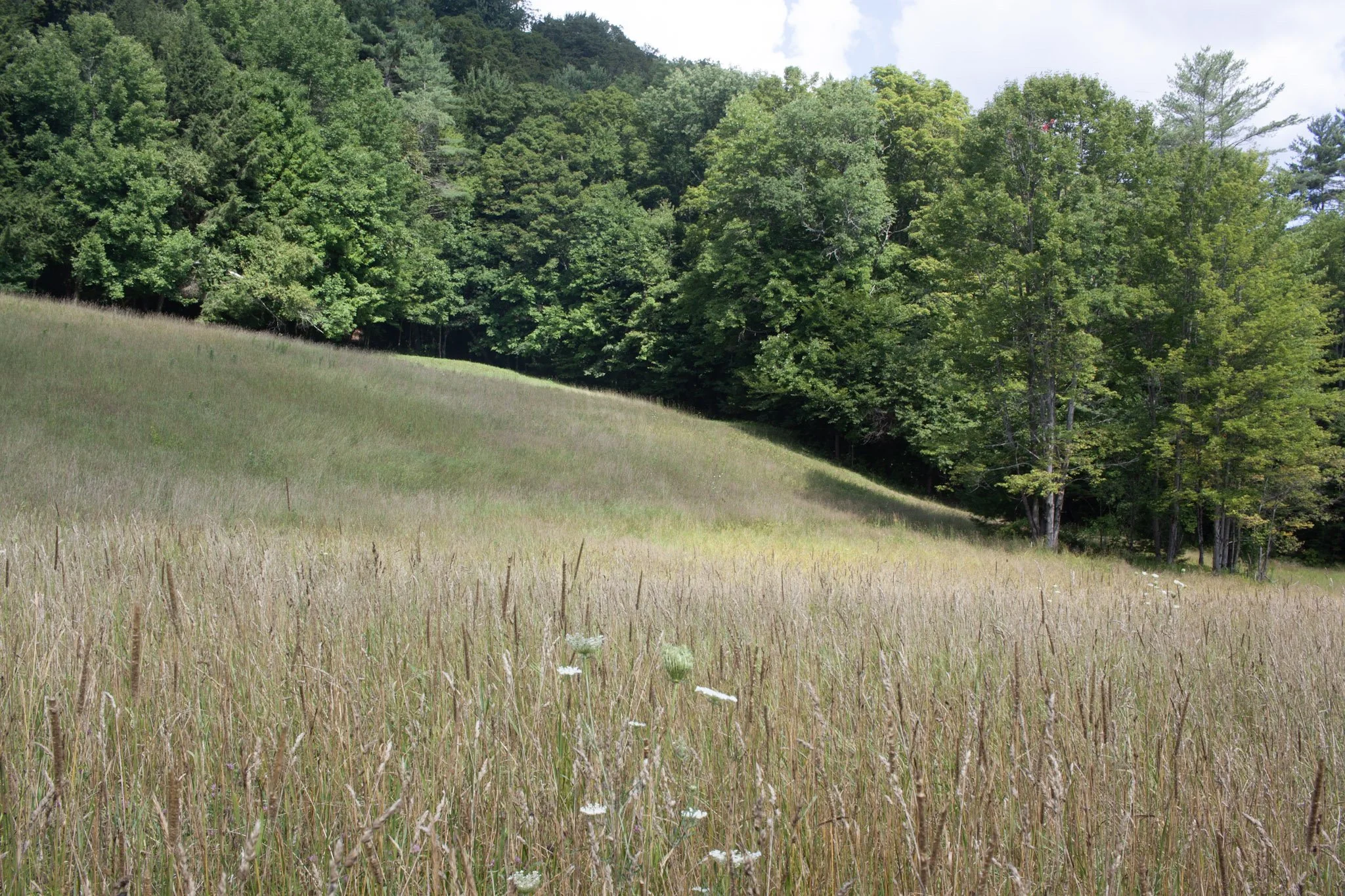 9-IMG_8938.jpg