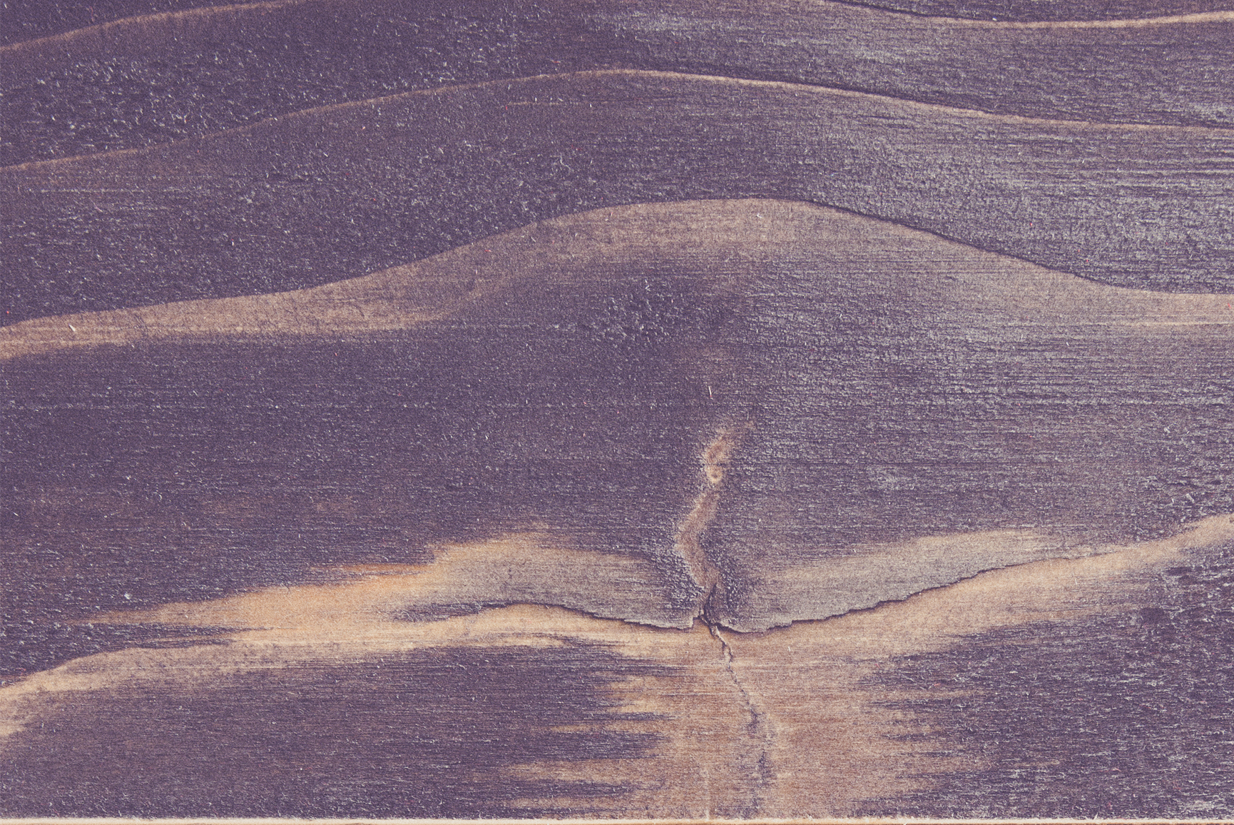 FTC_Resources_Background_3_(1730x1156).jpg