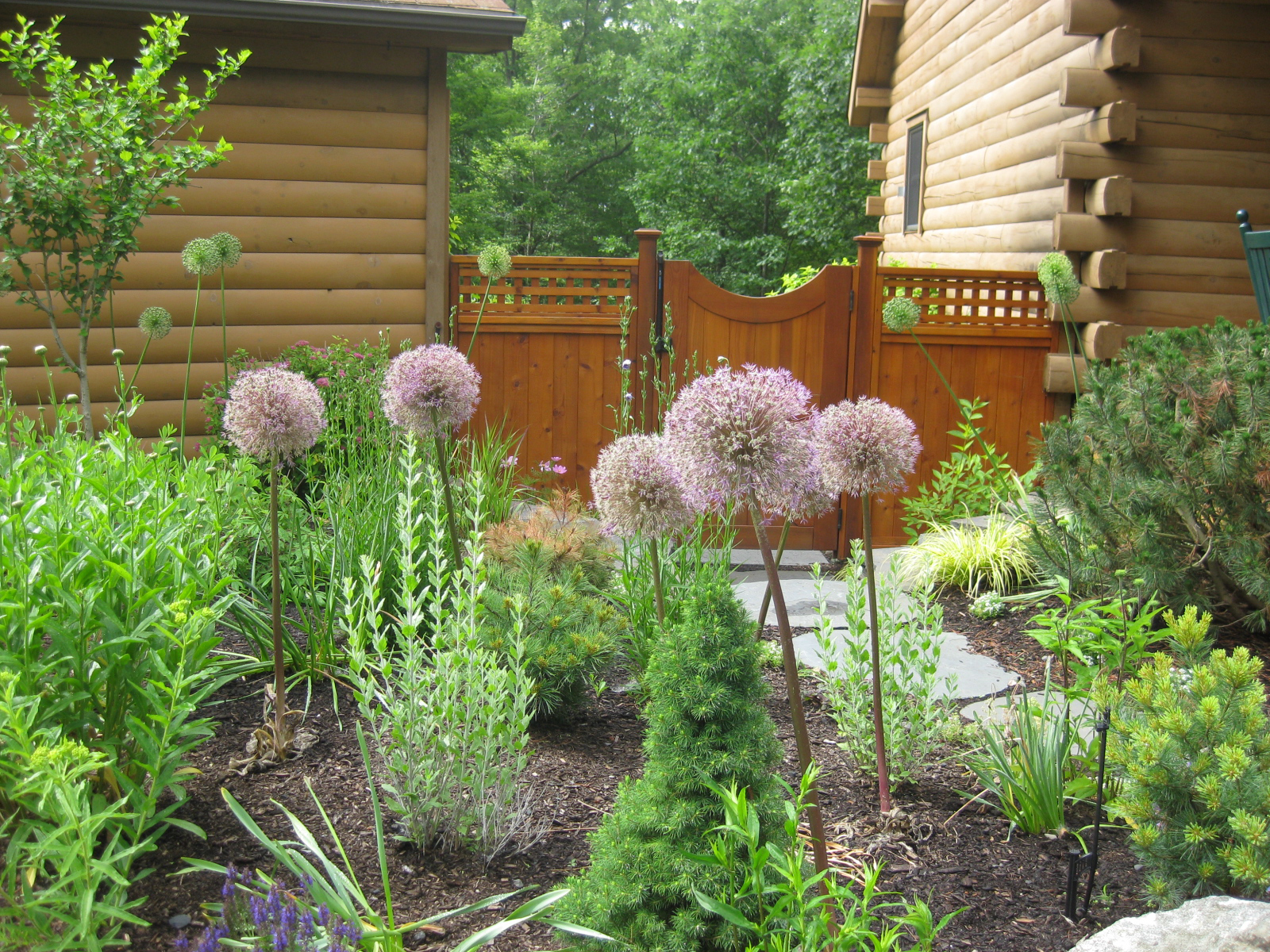 Landscaping projects June 09 022.jpg