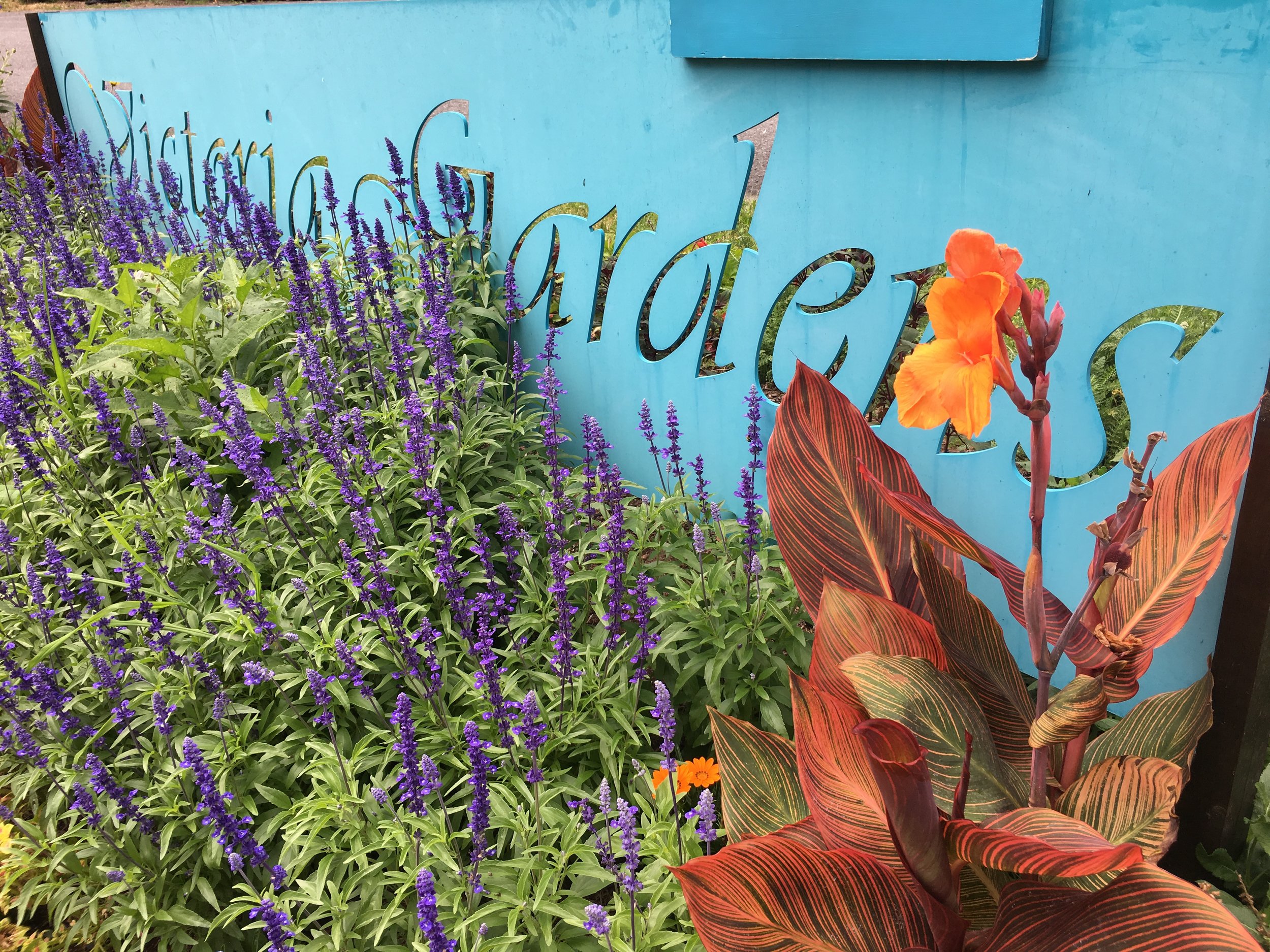 This explosion of color is made up of annuals