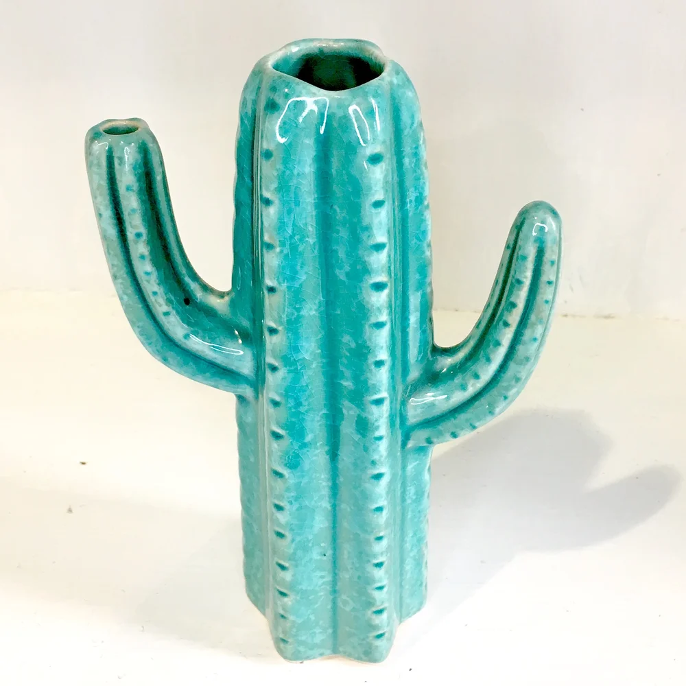 Ceramic Cactus Vase Victoria Gardens