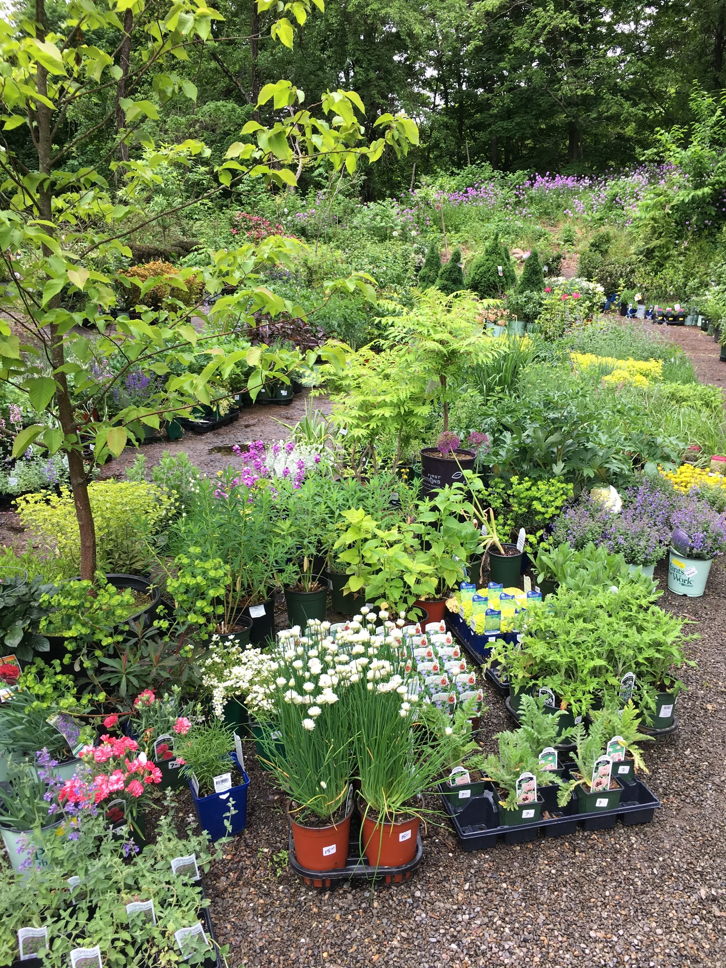 Nursery Tour Video: A Moment of Zen