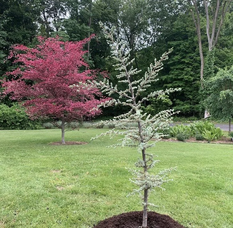 The Best Landscape Practices