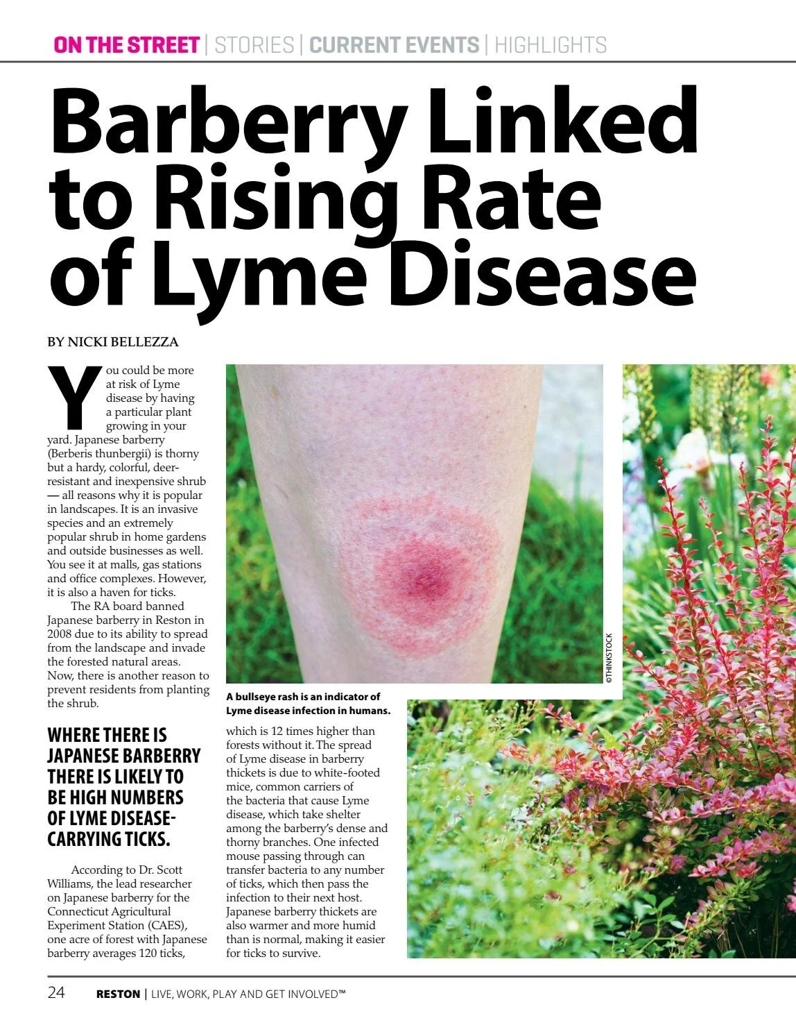 World’s Worst Invasive Plants Sold at Many U.S. Garden Centers