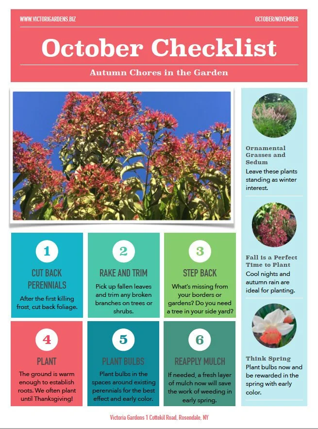 Autumn Chores in the Garden