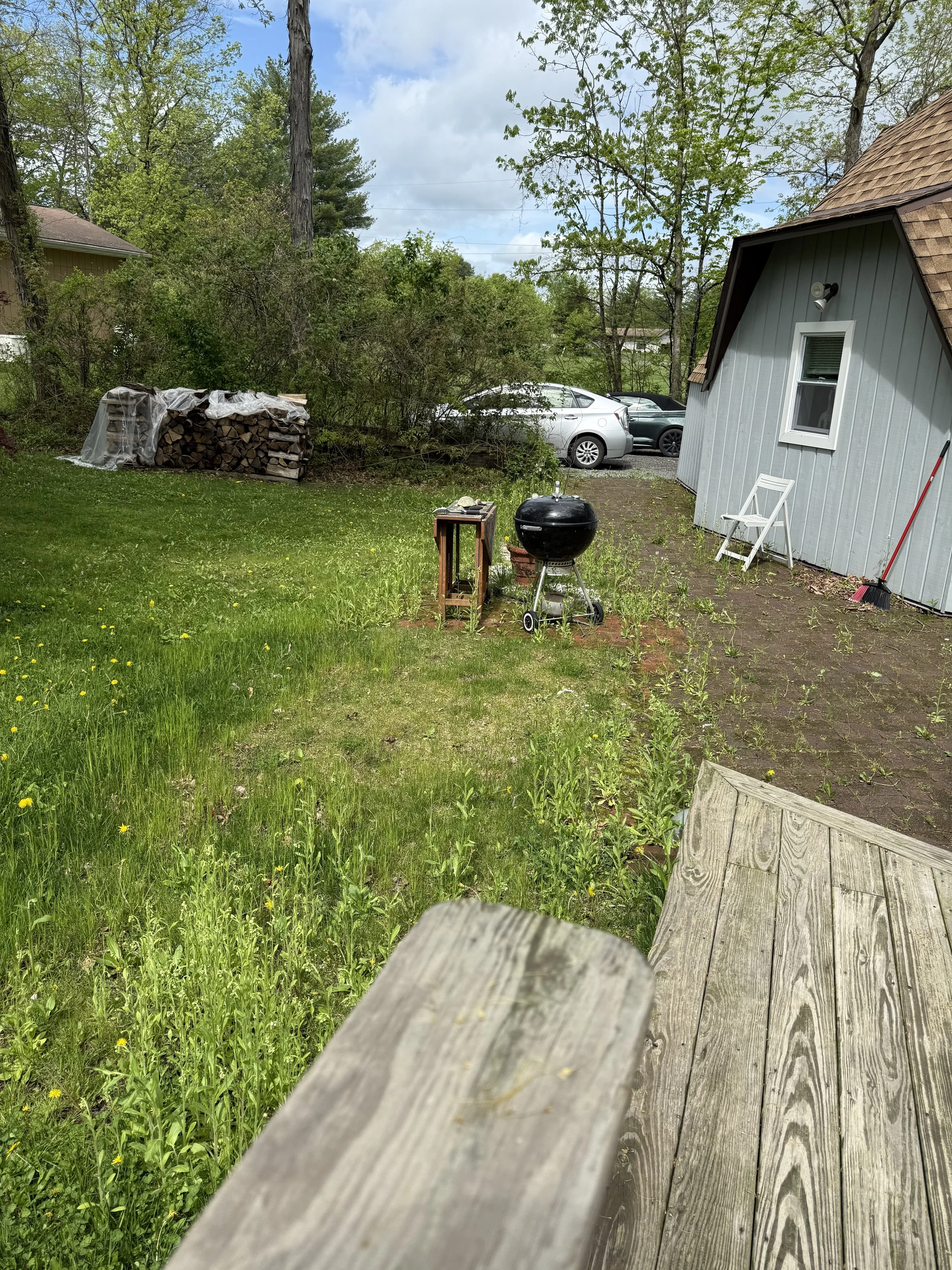 Backyard Glow-Up Before and After