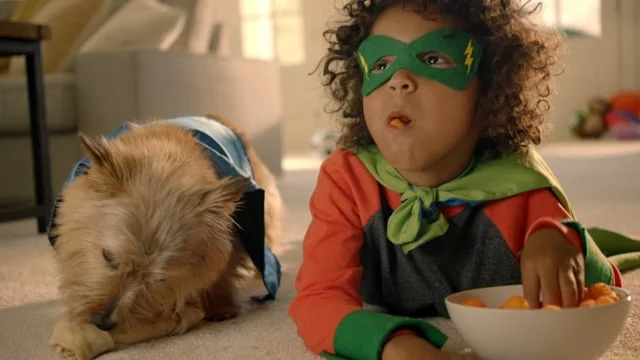 Stainmaster Pet Protect