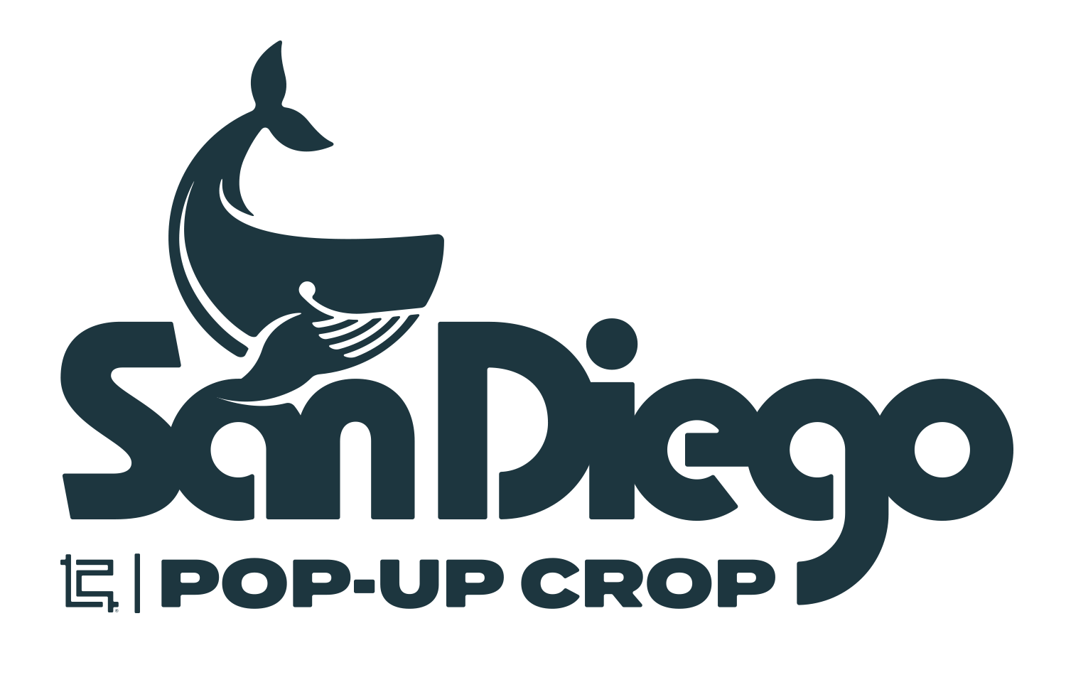 PopUp SD Header Logo.png