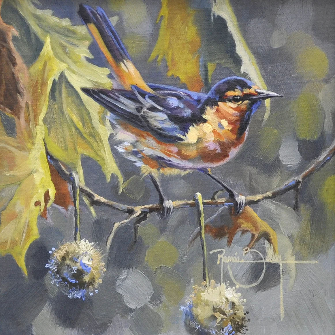 Bullocks Oriole, 8x8