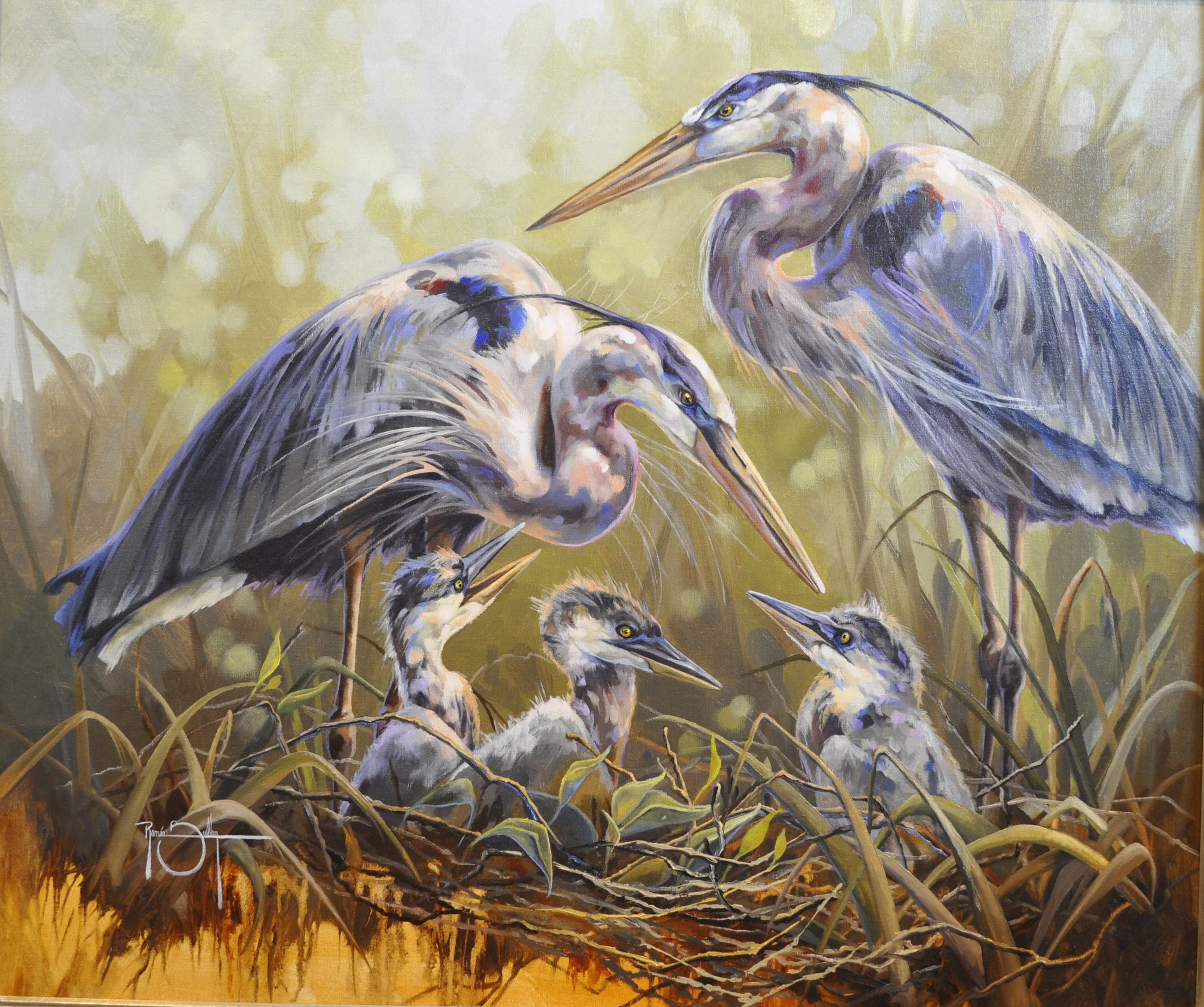 Noisy Nesting, 30x36