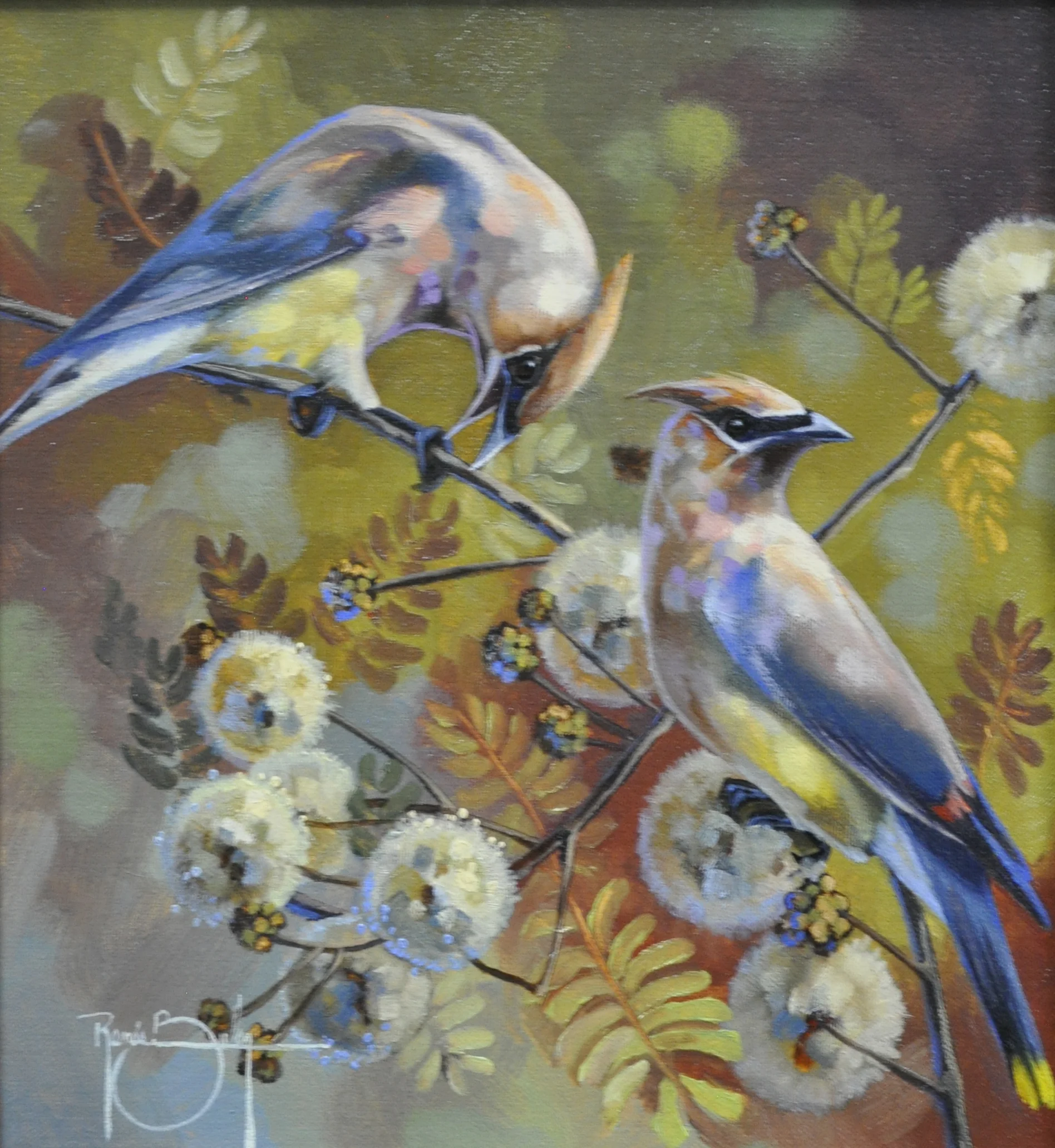 Beak Sharpening, 10x11