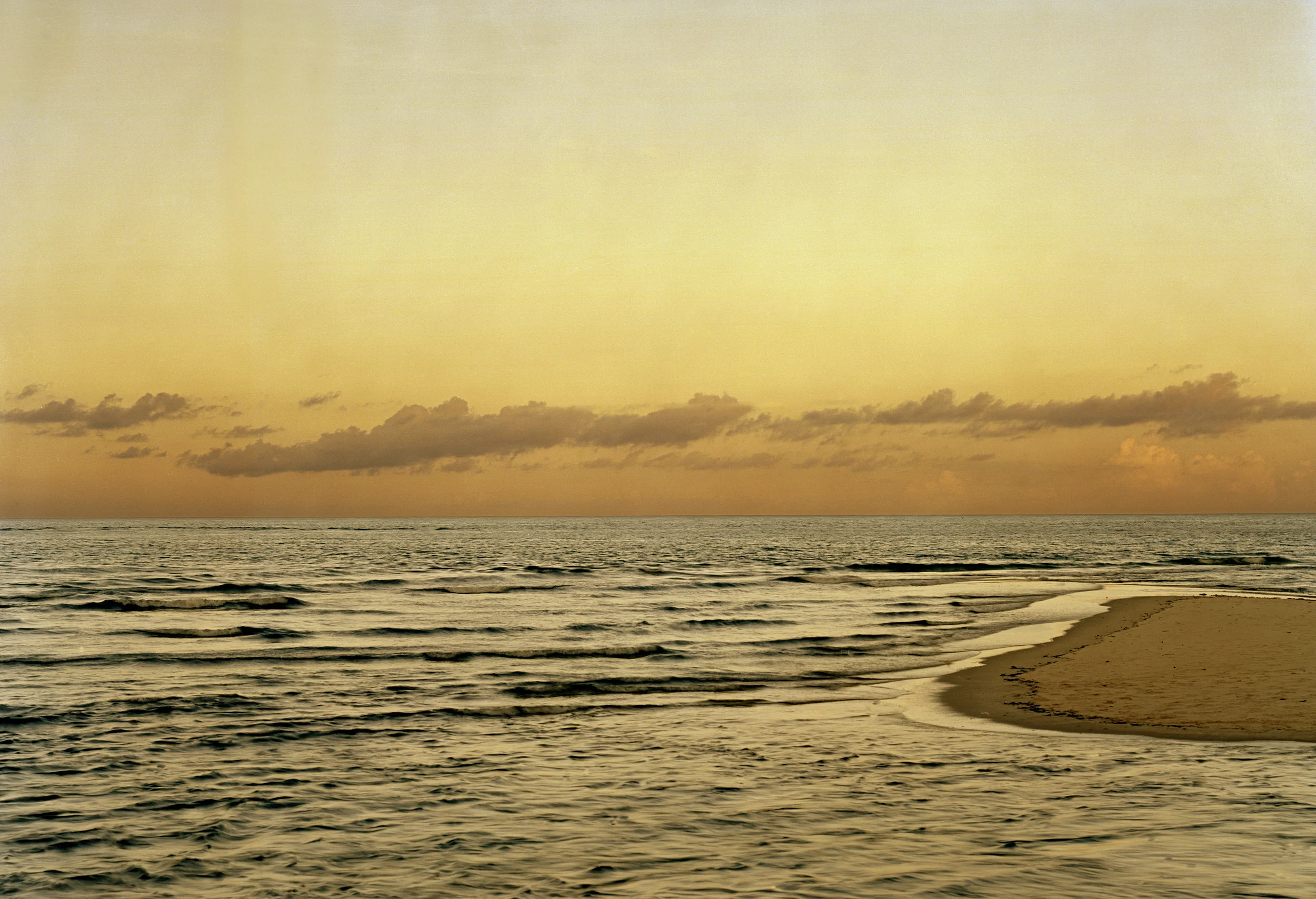 Senza titol  o-2.jpg