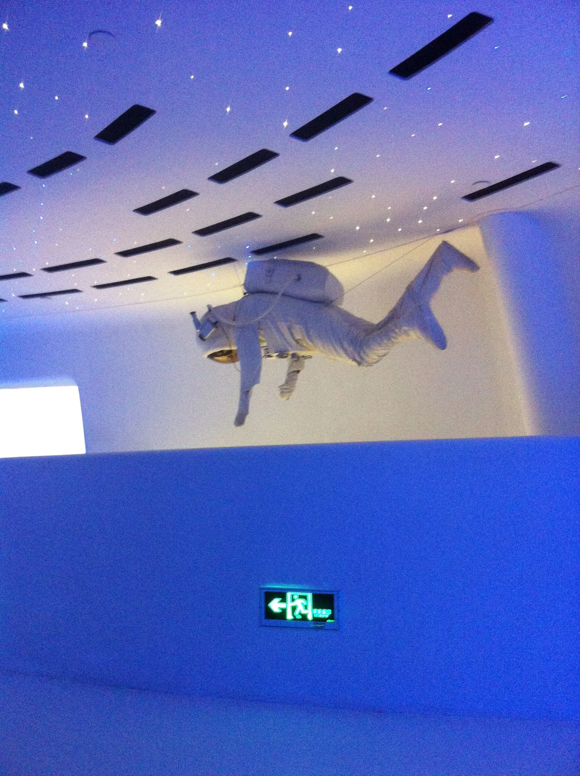 2013-11-18 10.03.48.jpg