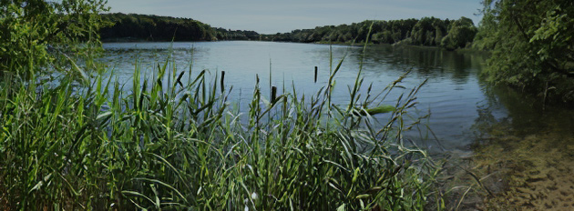 lake_background_smller2.jpg