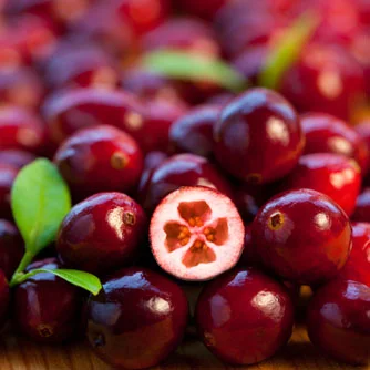 130304_cranberries.jpg