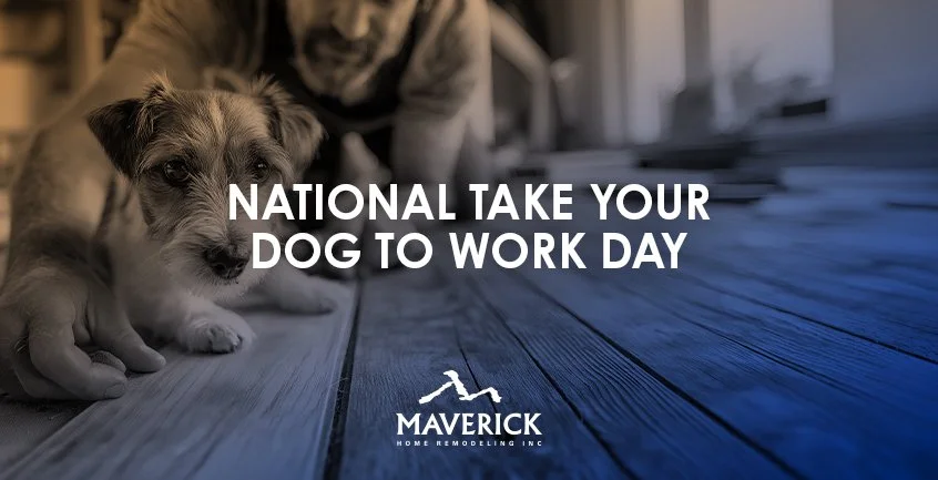 260625_MAV_Dog.jpg