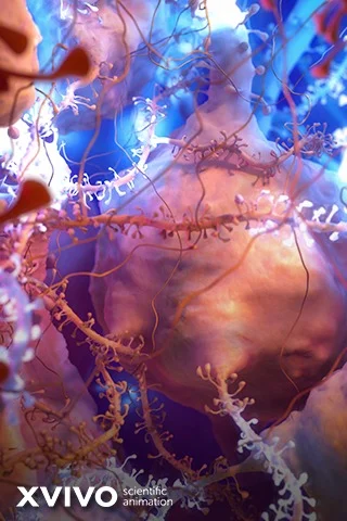 Lot28_Livingroom_B9_Microbiology_5.jpg