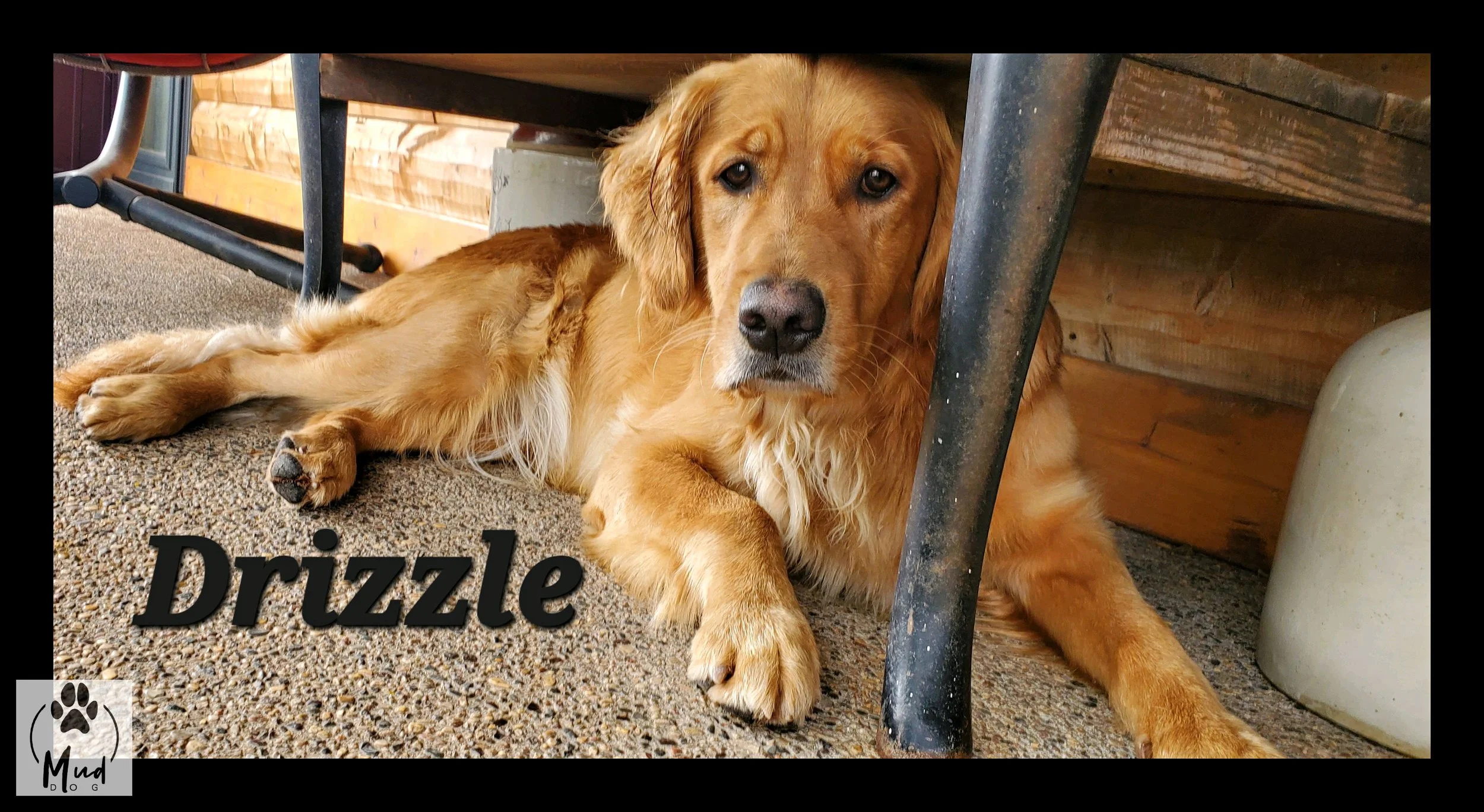 Drizzle.jpg