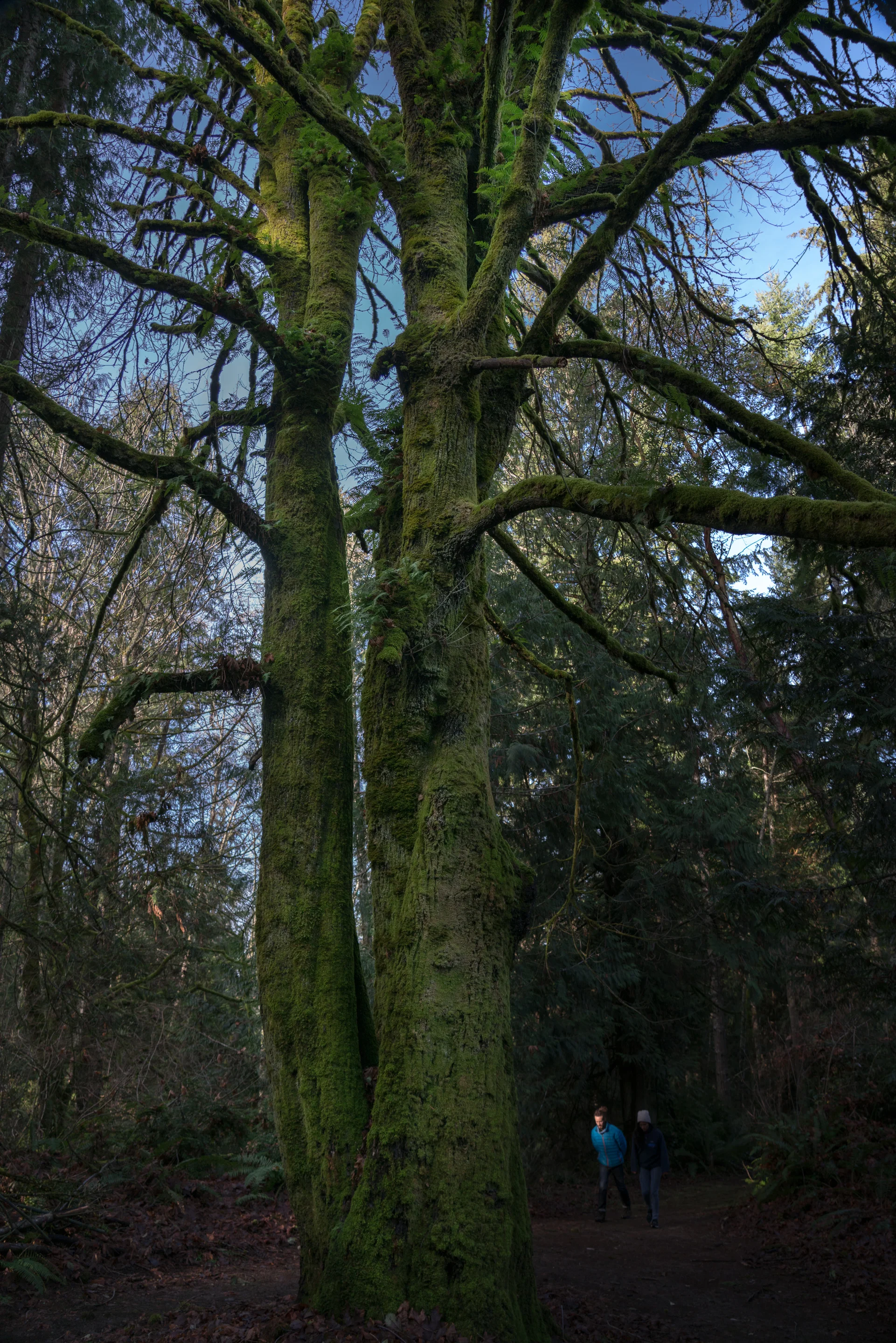 At 24 mm, the FE 4/24-105 G captures subtle color shades, dark and lights. Shot at f/4 and ISO 320.