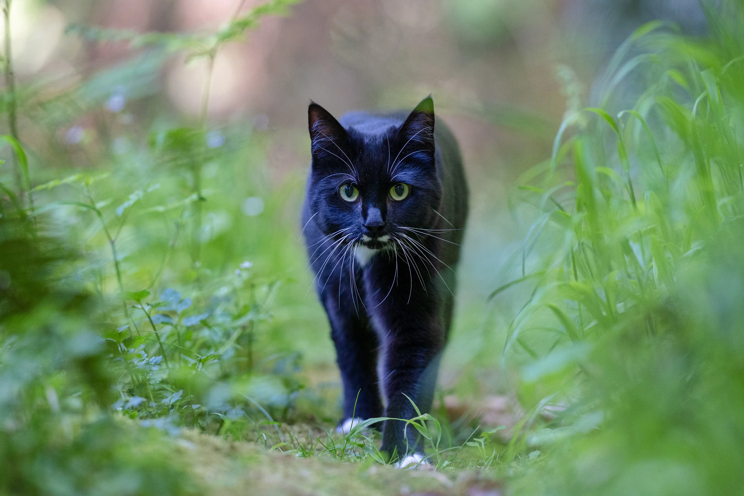 Bokeh and DOF? Check.