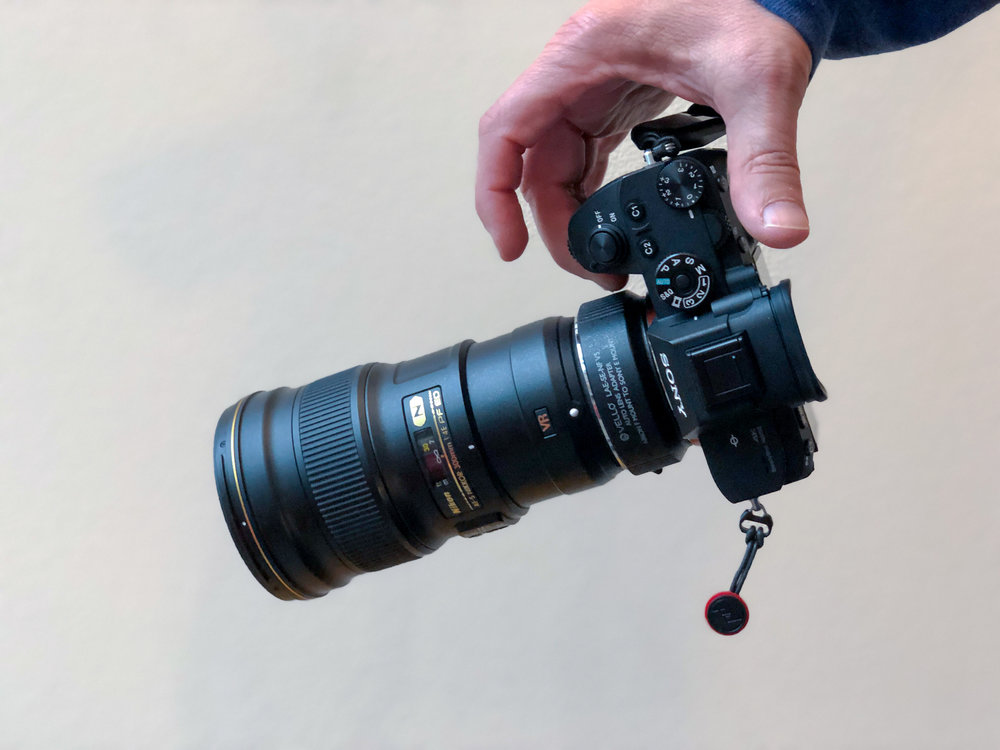 Sony A7R3 with Nikon 300mm f/4 PF and Vello adaptor