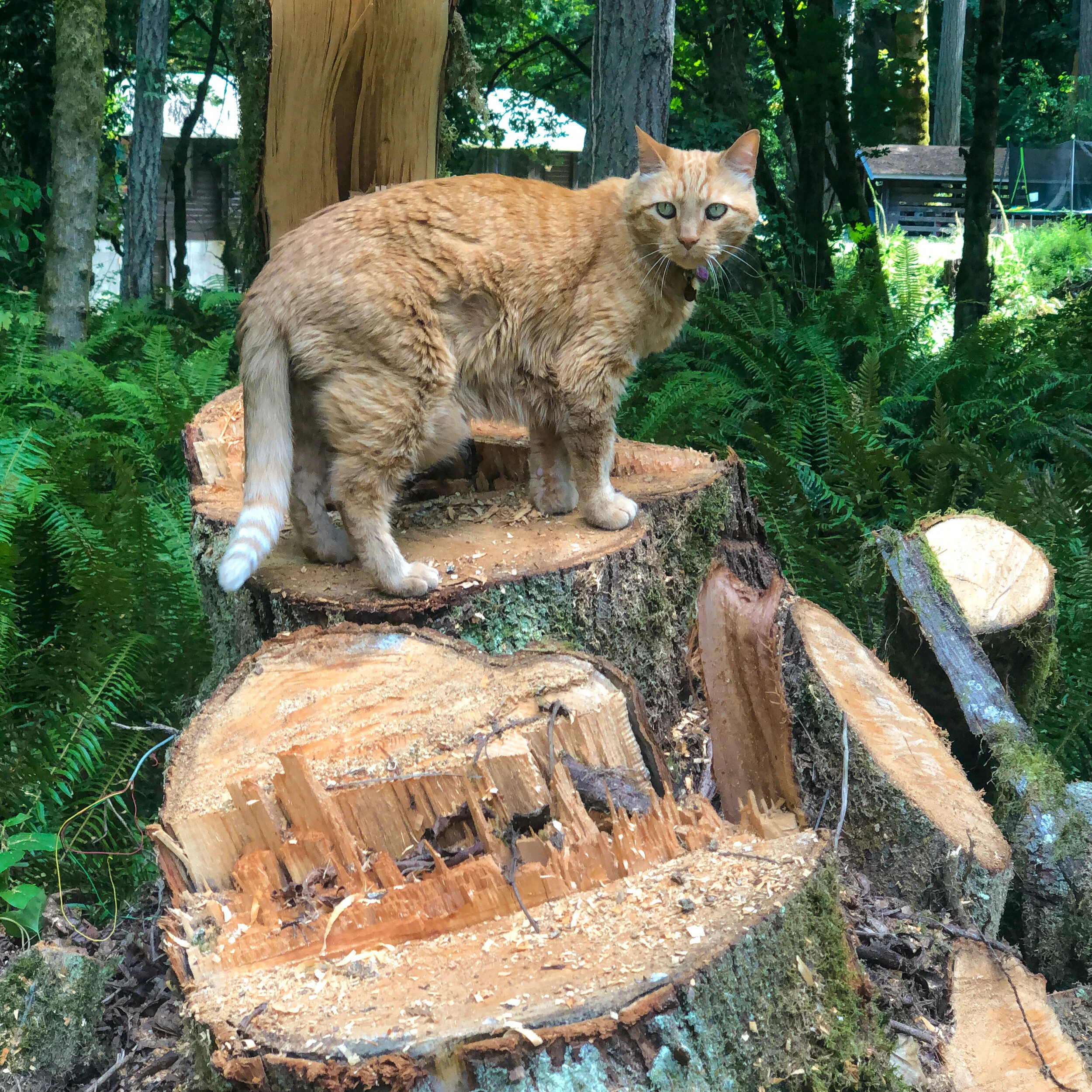 Day 143 Hello, Harper!