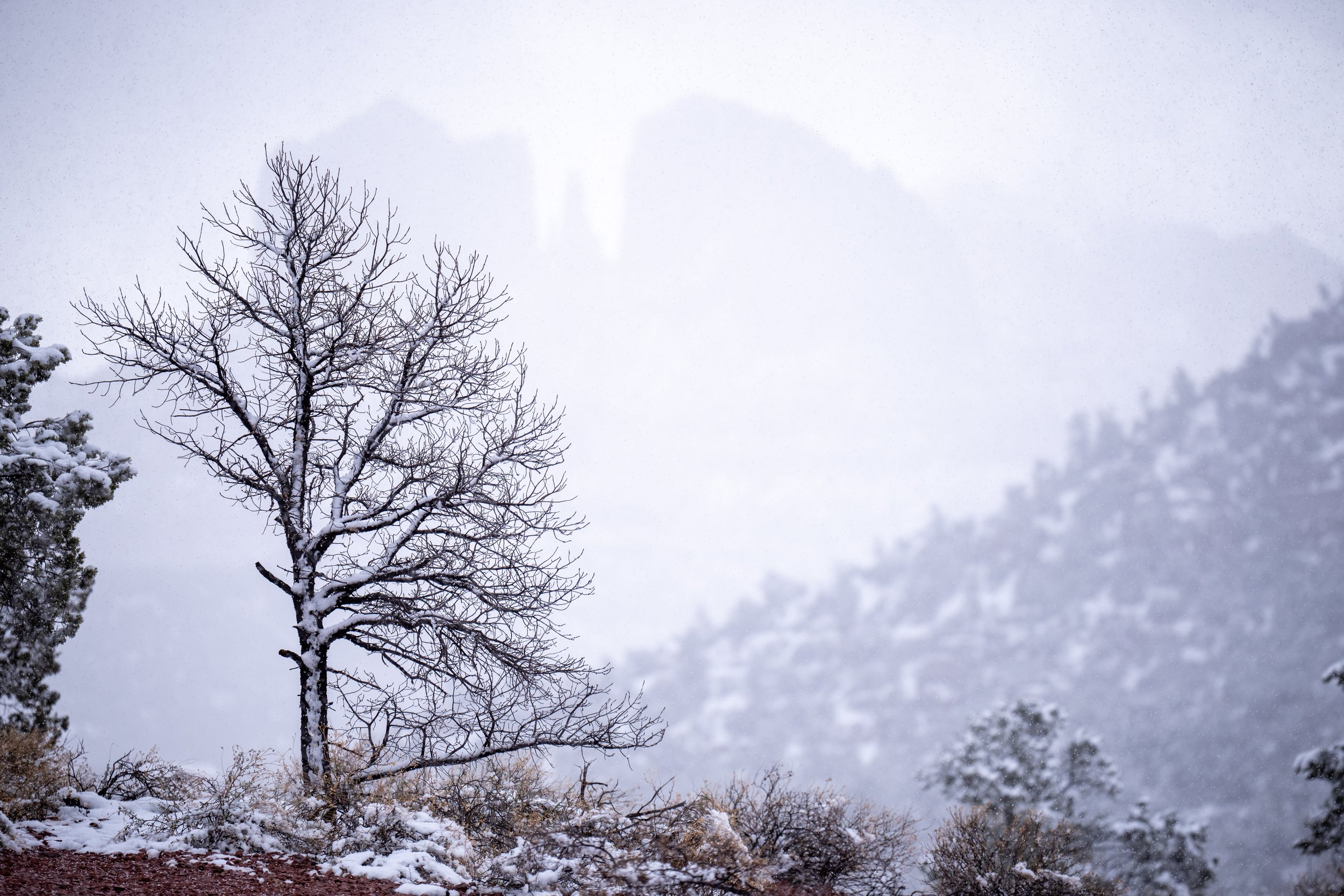 Cathedral Rock