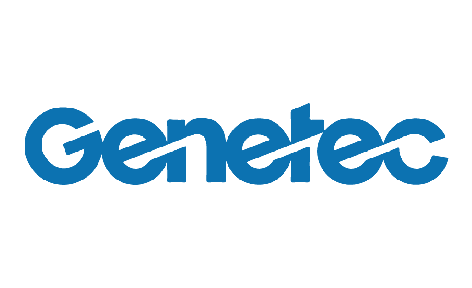 Genetec Log WS.png