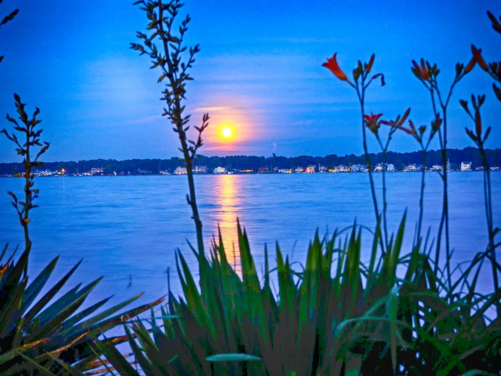 OI000368-HDR.jpg