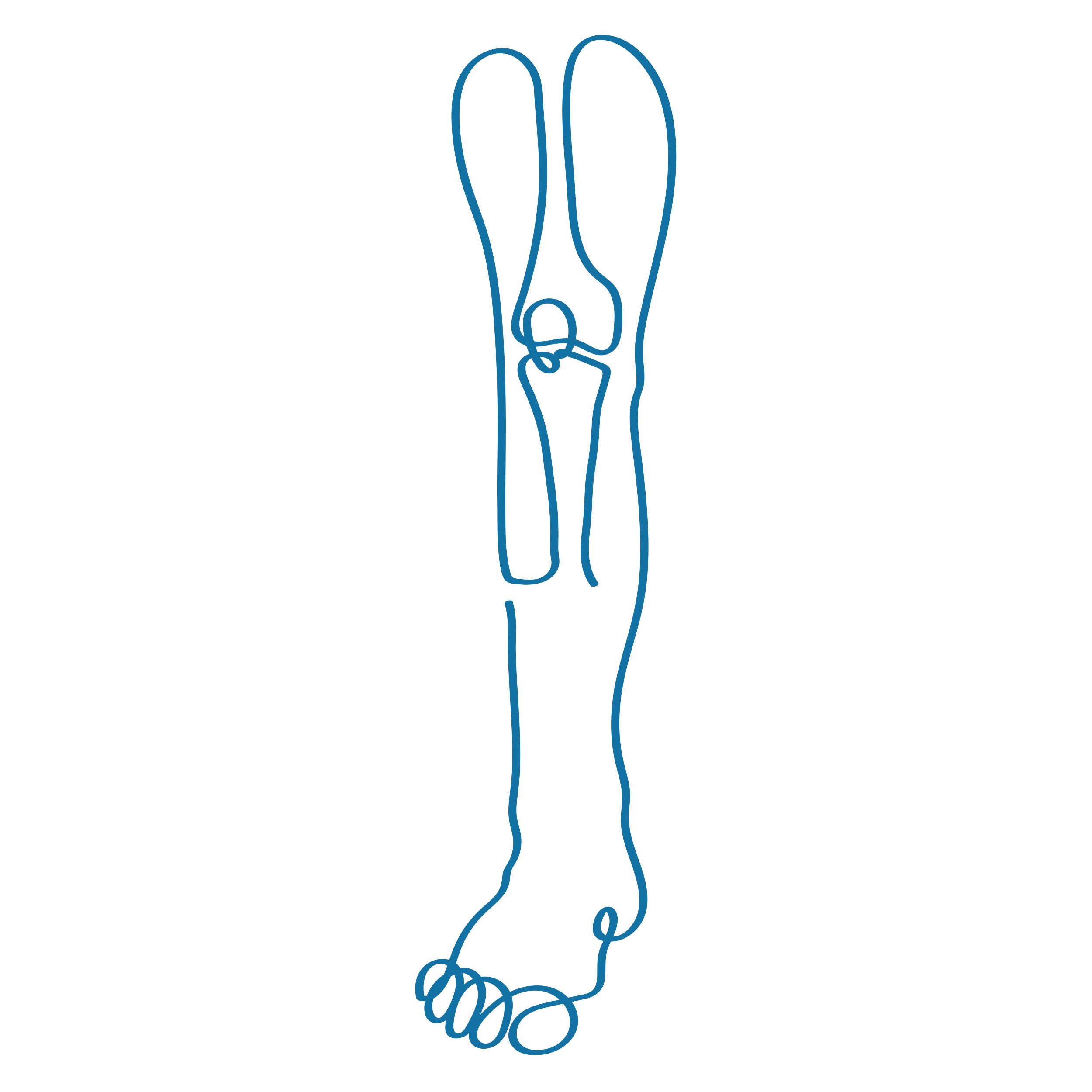 Sketch of knee