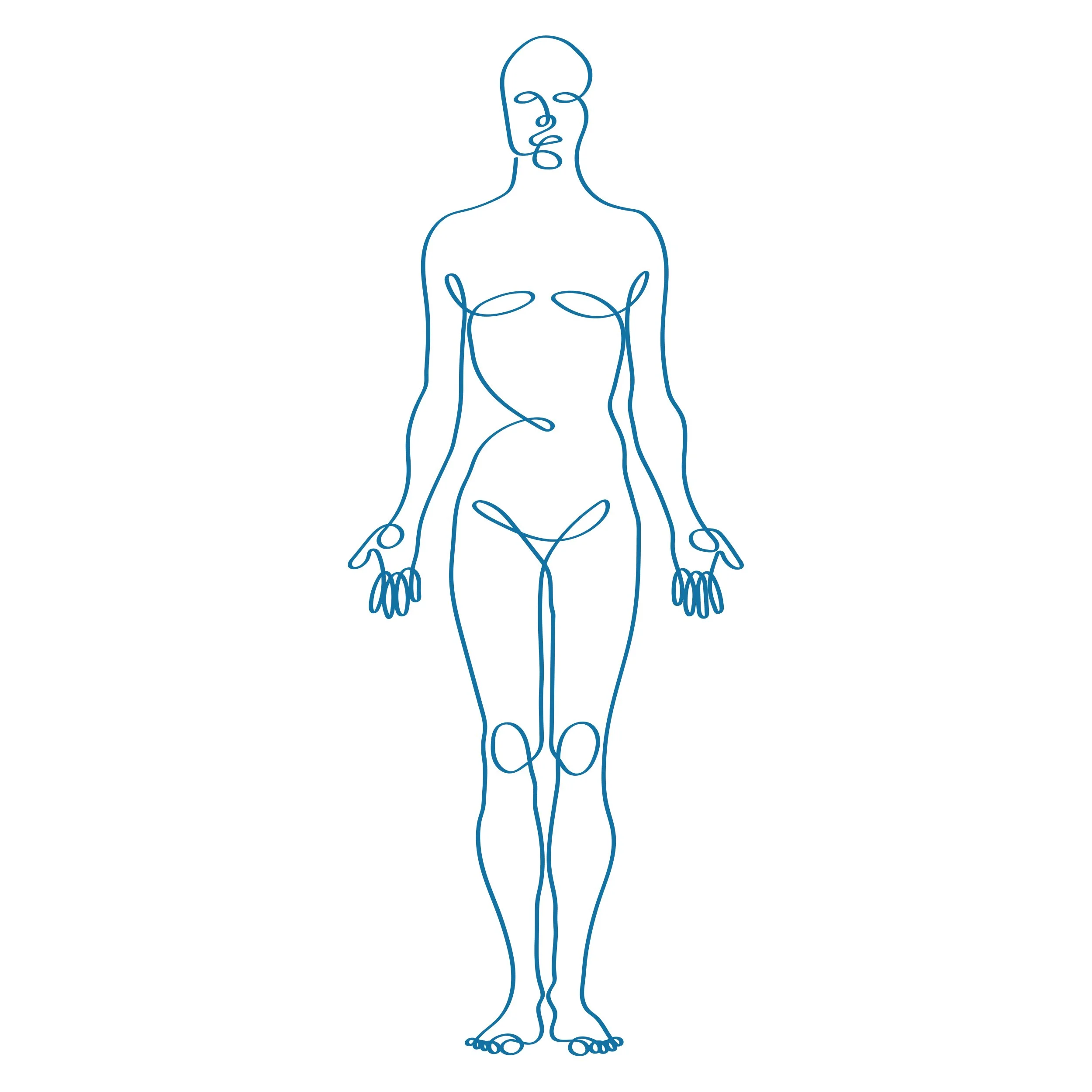Drawing sketch of anatomical body
