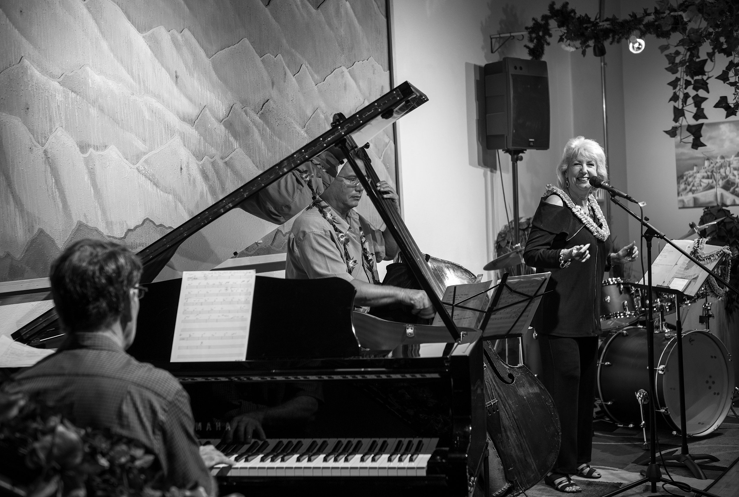 Shari Lynn (vocals) accompanied by Jim Howard (piano) and John Kolivas (bass)