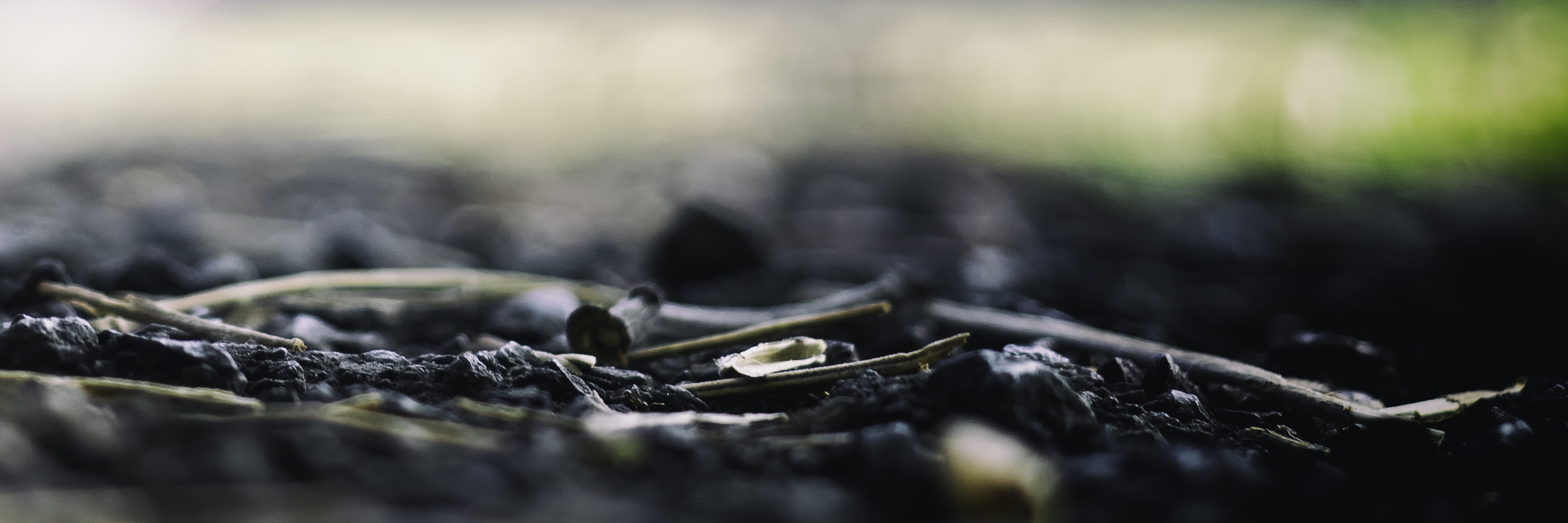 Terroir Bokeh