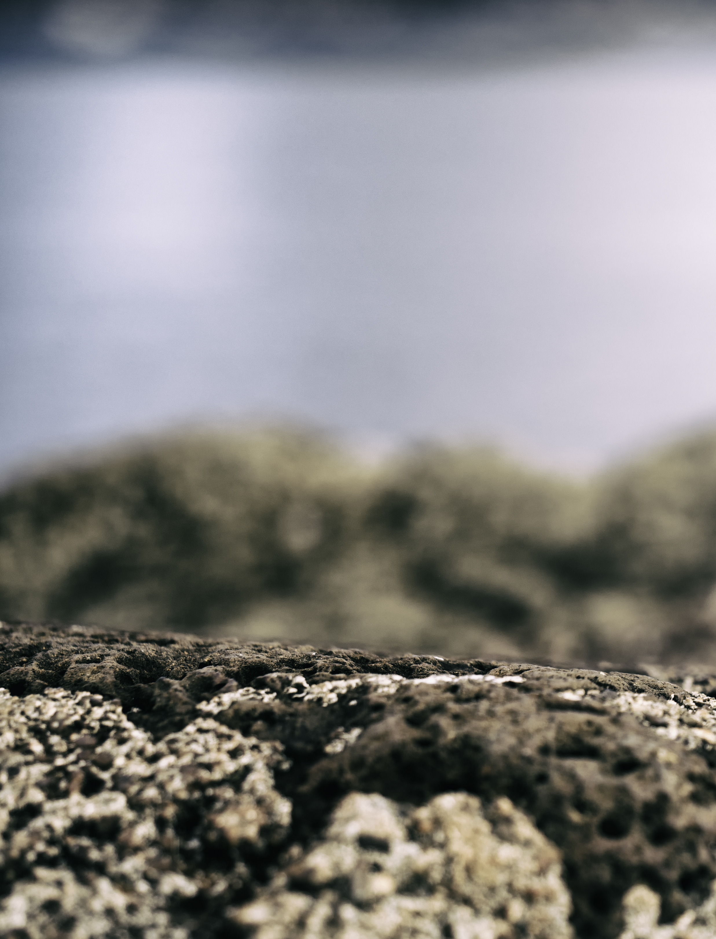 Volcanic and coral rocks texture the foreground; is that an ancient Jurassic Sea in the background?