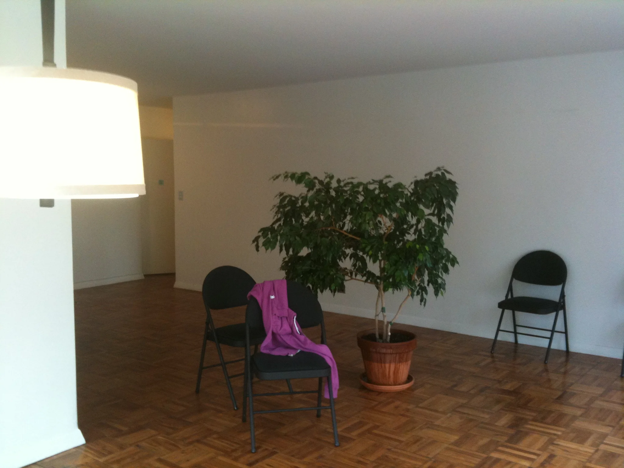 2010-10-12 15.52.41.jpg