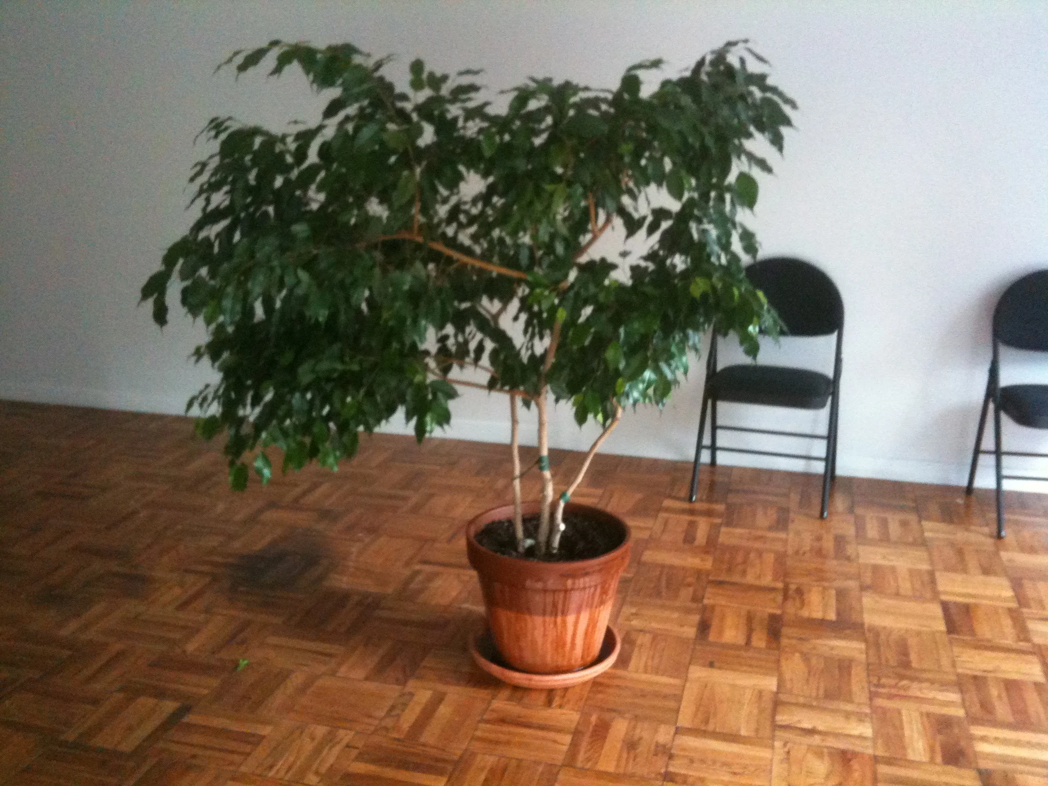 2010-10-12 16.25.20.jpg