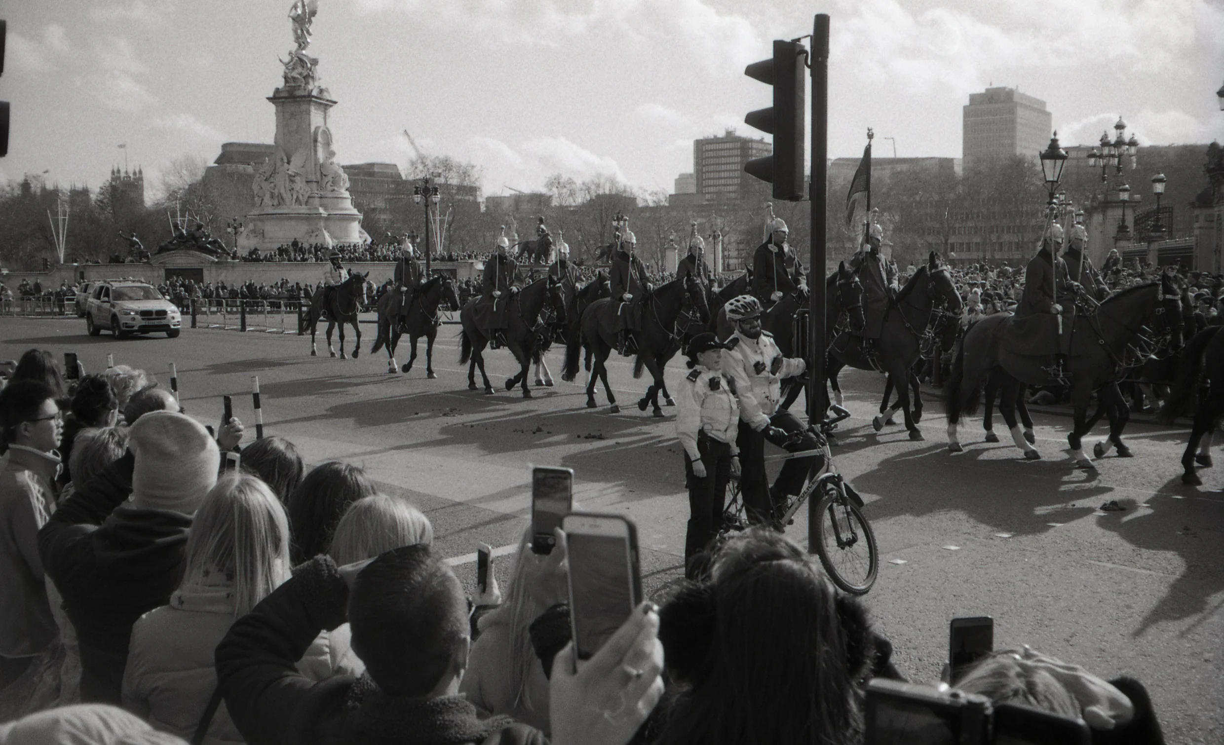 Most of the horses, most of the men.