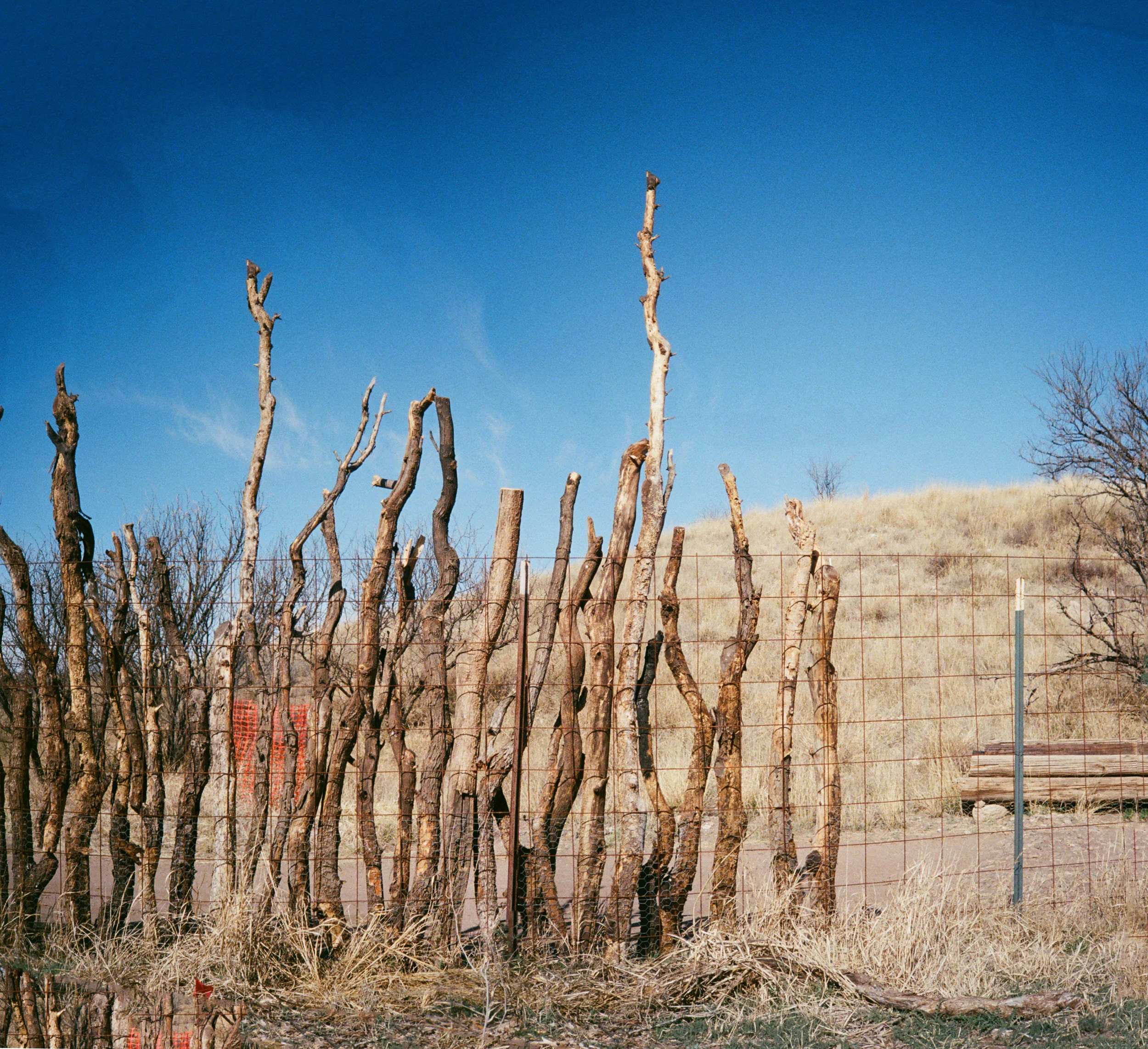 Sonoita3_FAKE_j.jpg