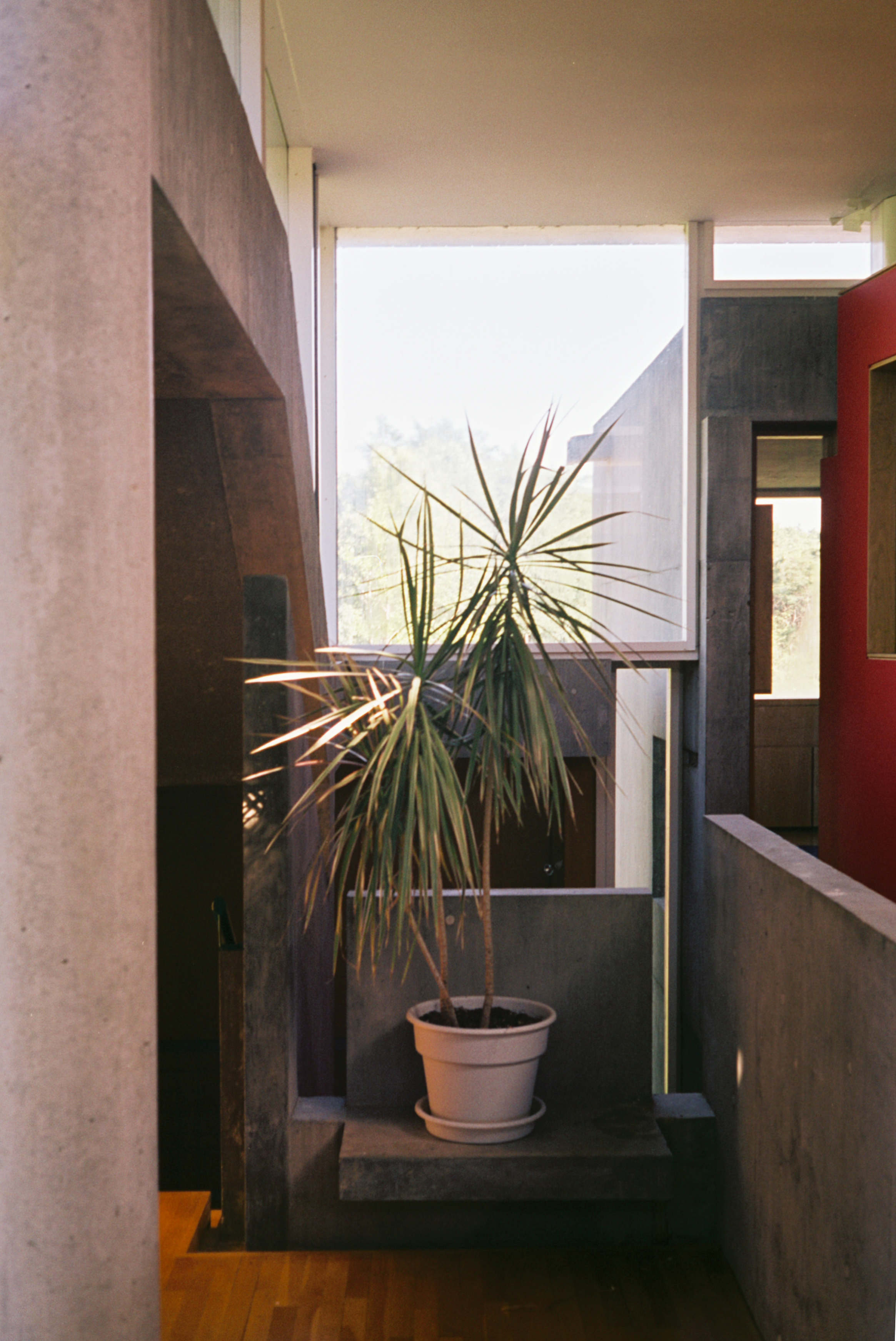 FH040004 copy.jpg