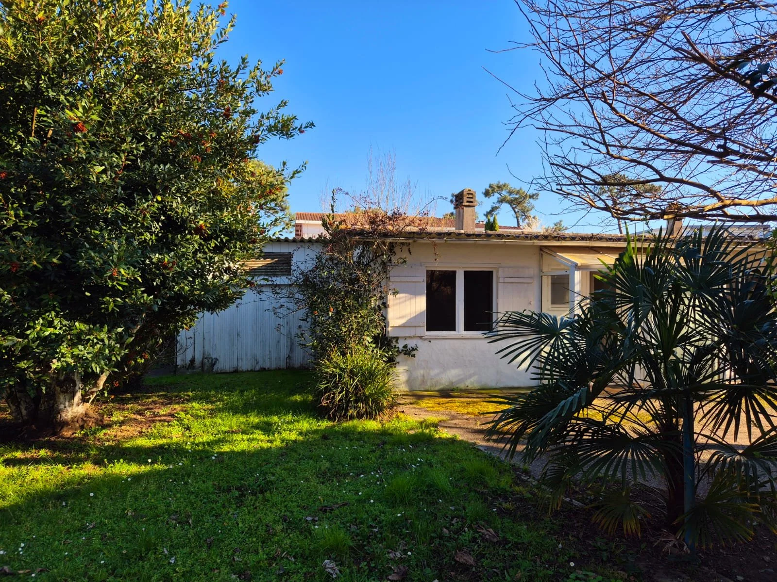 Maison Cap Ferret - Le canon(6).jpeg