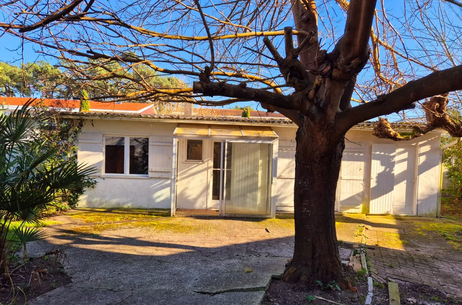 Maison Cap Ferret - Le canon(2).jpeg