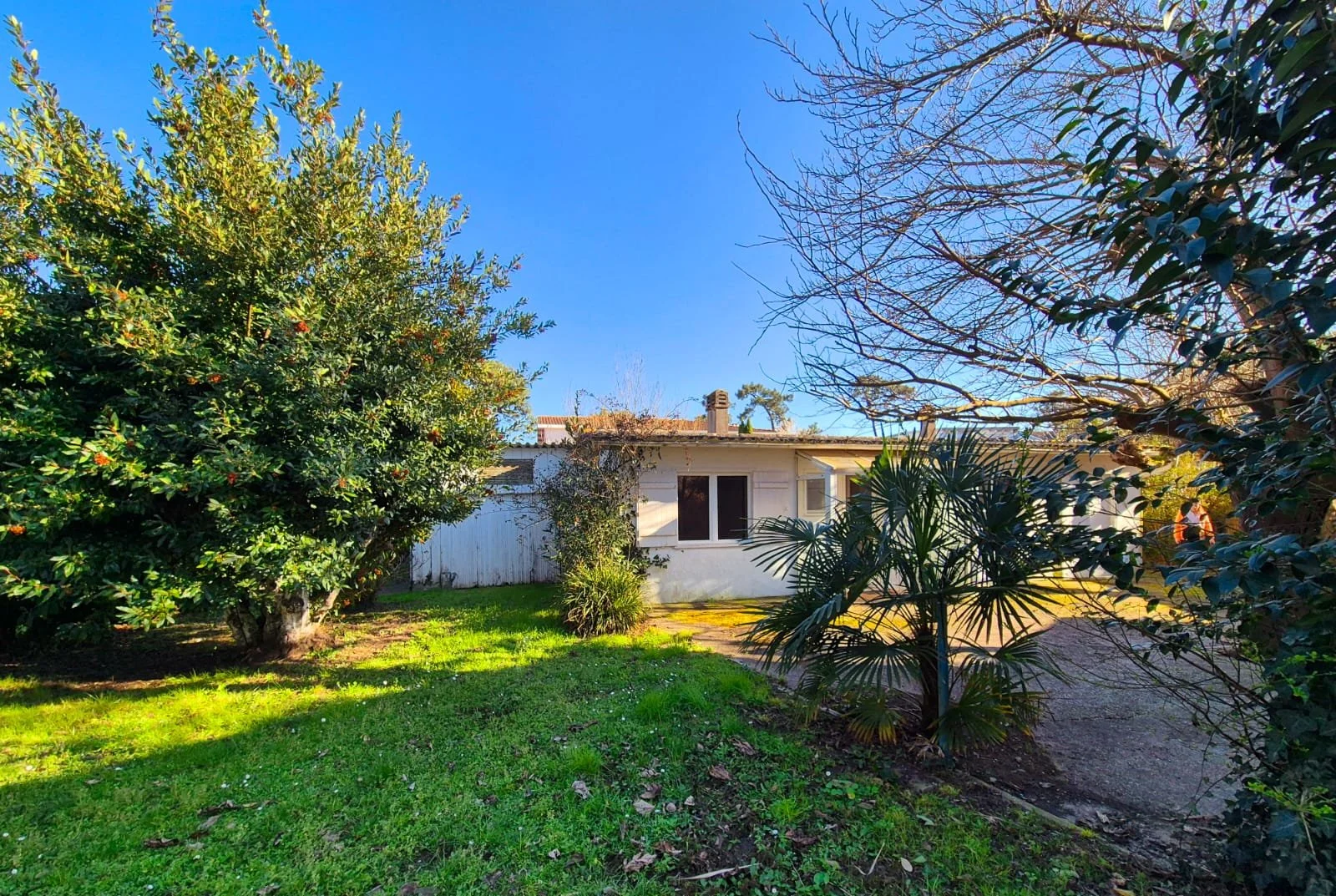 Maison Cap Ferret - Le canon(4).jpeg