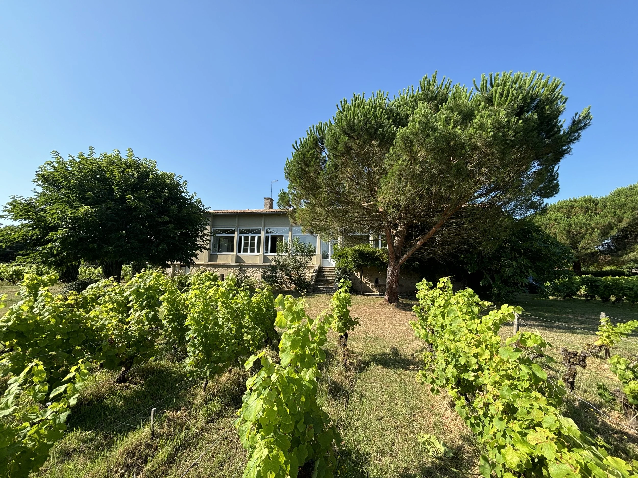 MAISON BARSAC - VIGNOBLE - CHAMBRES D'HOTES 3.jpeg