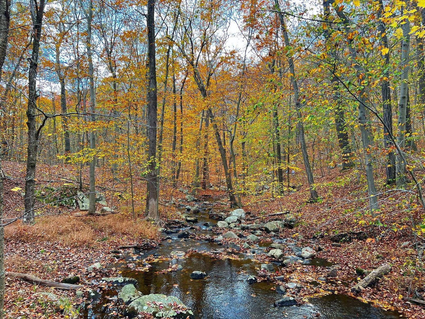 Fall hiking at Ramapo Reservation 🍁🧡