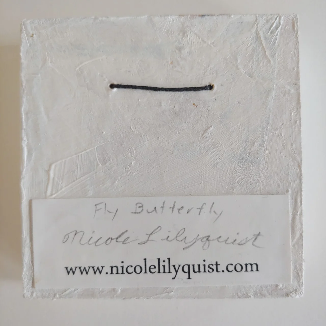 fly1.jpg