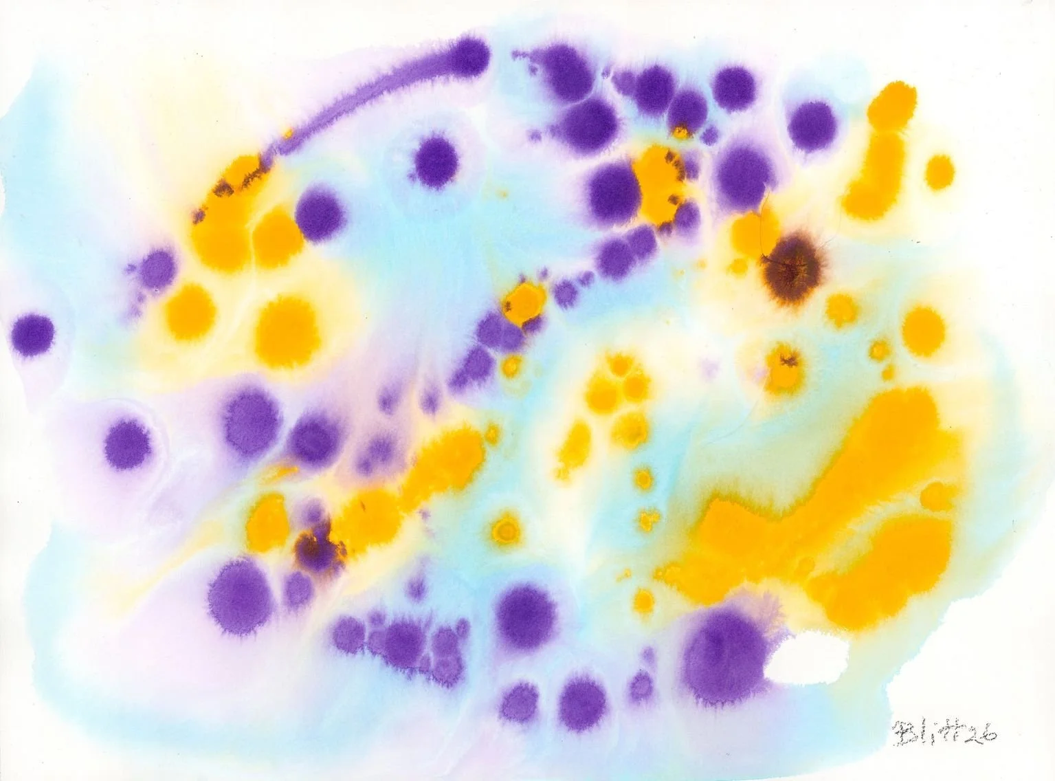 Untitled, 2026, acrylic on paper, 18 x 24 inches
